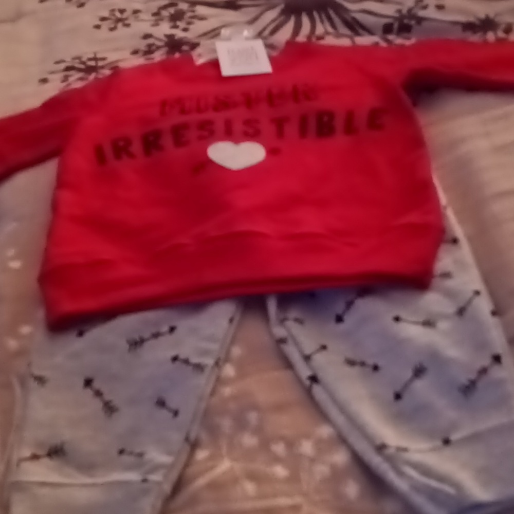 Carter's sweatshirt and sweatpants